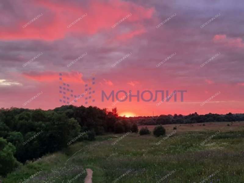 земельный участок под сельхоз назначение в Богородском районе Нижегородской области