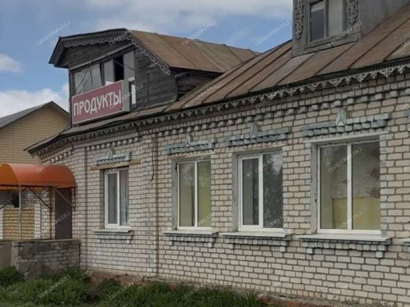 дом на улице Пушкина город Лукоянов