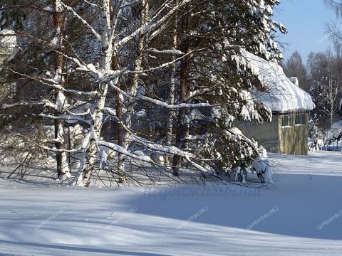 dom-selo-muraviha-dalnekonstantinovskiy-rayon фото