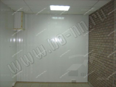 vaneeva-ul-d-3 фото
