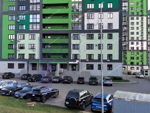 kvartira-studiya-ul-rodionova-d-202-k1 фото