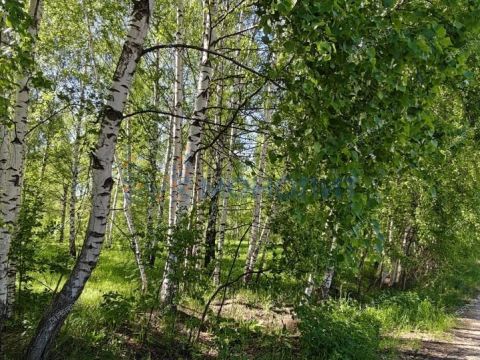 gorod-bor-gorodskoy-okrug-bor фото