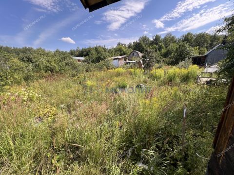 sad-derevnya-shoniha-bogorodskiy-municipalnyy-okrug фото