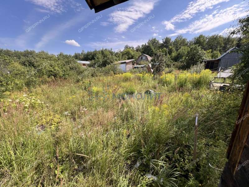 сад на - деревня Шониха