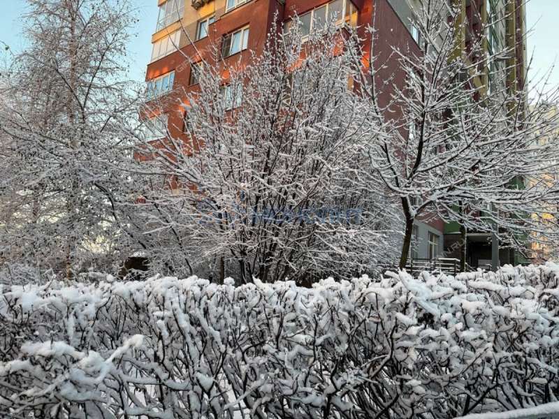 двухкомнатная квартира на улице Академика Сахарова дом 111