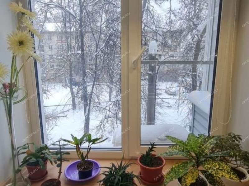 двухкомнатная квартира на улице Героя Советского Союза Прыгунова дом 1