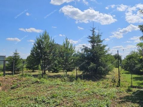 derevnya-ankudinovka-kstovskiy-rayon фото