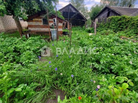 dom-selo-vad-vadskiy-municipalnyy-okrug фото