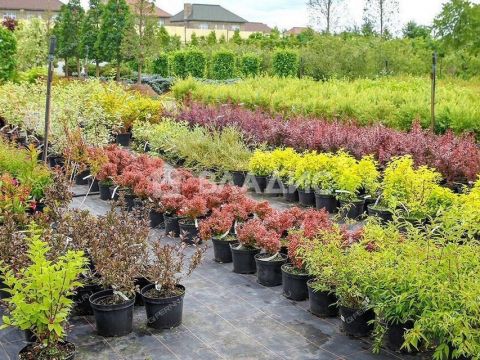 bor-gorodskoy-okrug-bor фото