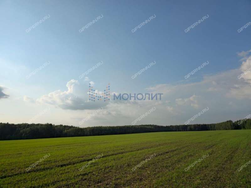 земельный участок под сельхоз назначение в Дальнеконстантиновском районе Нижегородской области