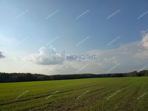 derevnya-bugry-dalnekonstantinovskiy-rayon фото