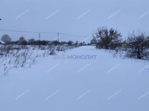 derevnya-shilovo-bogorodskiy-municipalnyy-okrug фото