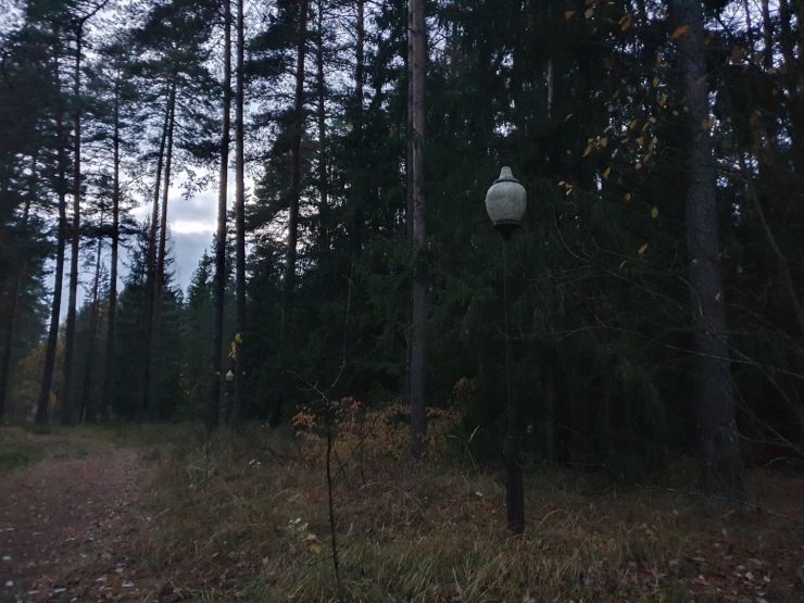 Площадка за территорией лагеря когда-то освещалась фонарями. Фото: Ксения Ражева