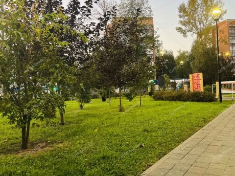 3-komnatnaya-ul-ostrovskogo-d-5 фото