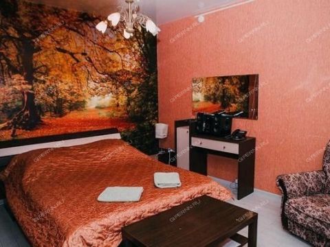 derevnya-rozhnovo-gorodskoy-okrug-bor фото