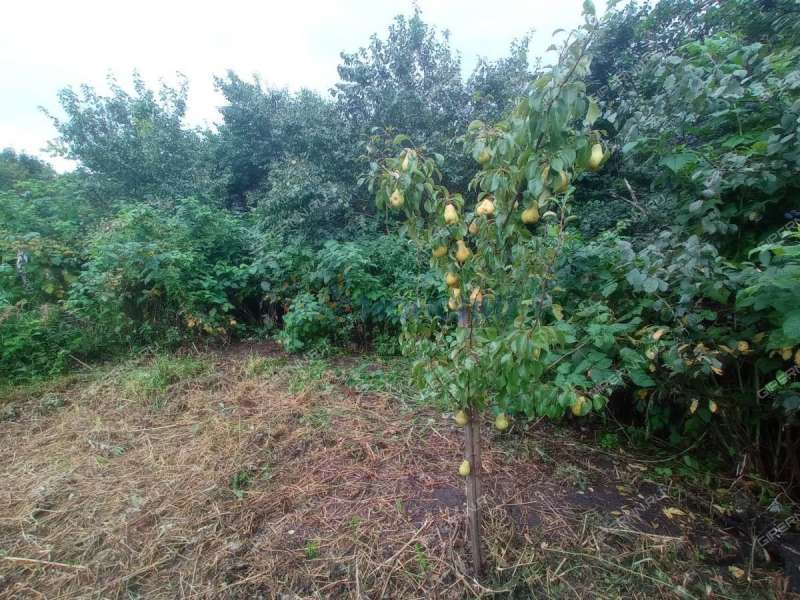 дом на Луговой улице рабочий посёлок Сосновское