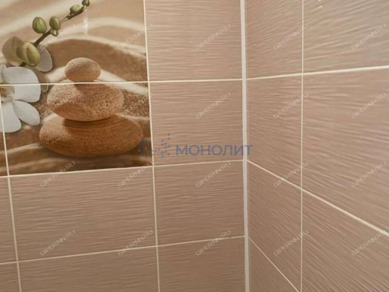 однокомнатная квартира в переулке Гашека дом 4 город Балахна