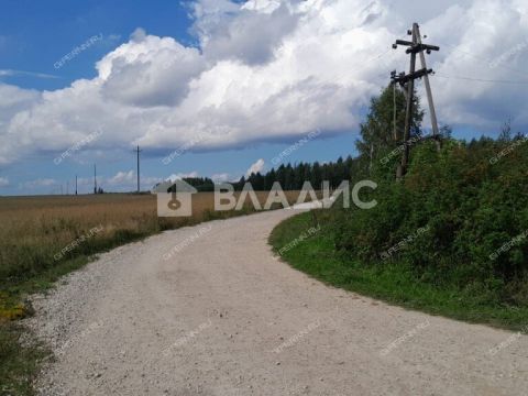 derevnya-afanasevo-gorodskoy-okrug-chkalovsk фото