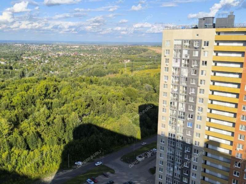 четырёхкомнатная квартира на Русской улице улице дом 9 деревня Анкудиновка