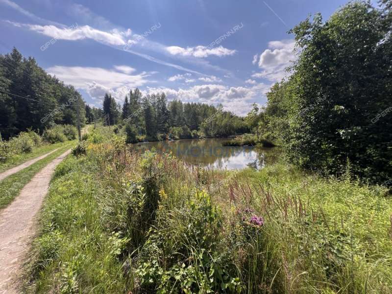 сад на - деревня Шониха