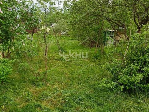 dacha-derevnya-uspene-semenovskiy-gorodskoy-okrug фото