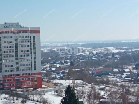 1-komnatnaya-derevnya-afonino-kstovskiy-rayon фото