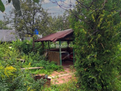 dacha-sadovodcheskoe-nekommercheskoe-tovarishhestvo-zvezdochka-gorodskoy-okrug-bor фото