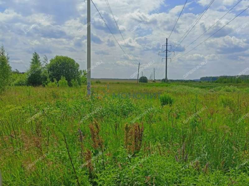земельный участок под сельхоз назначение в Богородском районе Нижегородской области