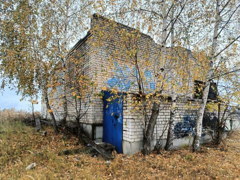 rabochiy-poselok-bolshoe-kozino-balahninskiy-municipalnyy-okrug фото