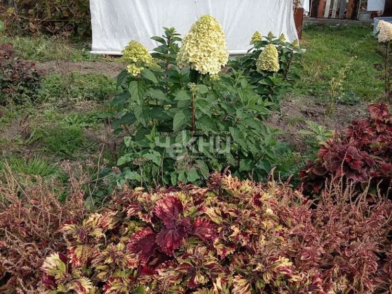 дом на Ясная Поляна ул город Заволжье