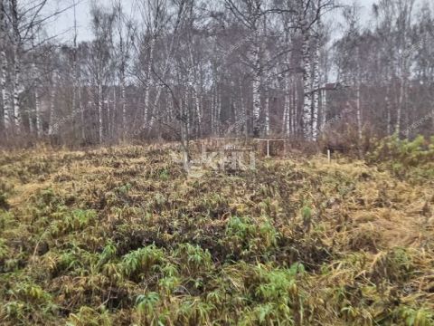 dacha-gorod-gorodec-gorodeckiy-rayon фото