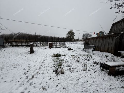 dom-derevnya-chernuha-bolshemurashkinskiy-rayon фото