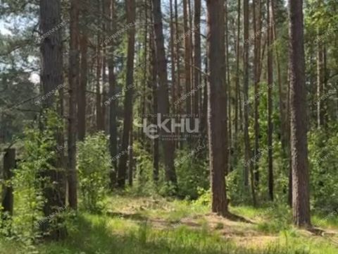 derevnya-lindo-usad-gorodskoy-okrug-bor фото