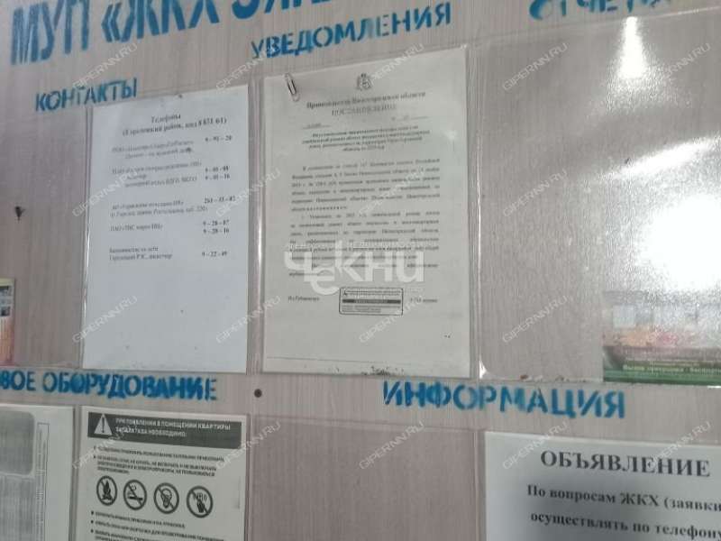 однокомнатная квартира на улице Ветеранов дом 12 село Зиняки