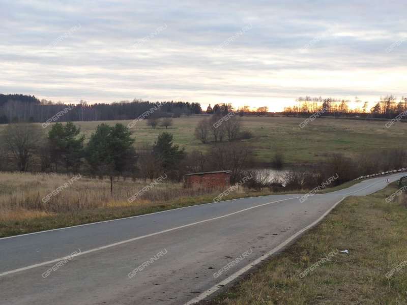 земельный участок 363 сотки Южная улица село Свобода