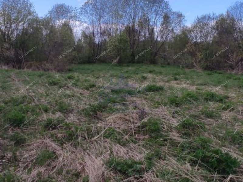 земельный участок 20 соток деревня Сбоиха