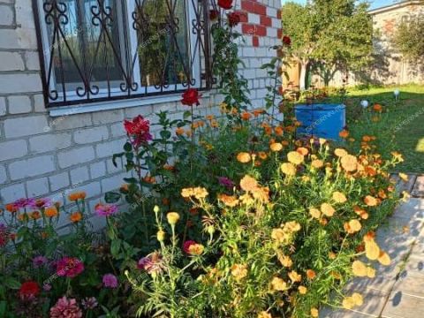 dacha-derevnya-koposovo-ul-lunskaya фото