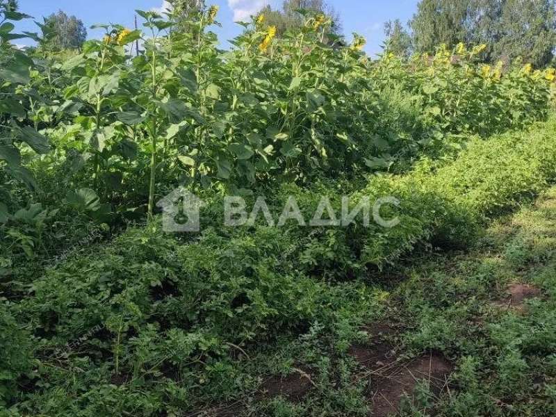 дом на Нагорной улице деревня Турбанка