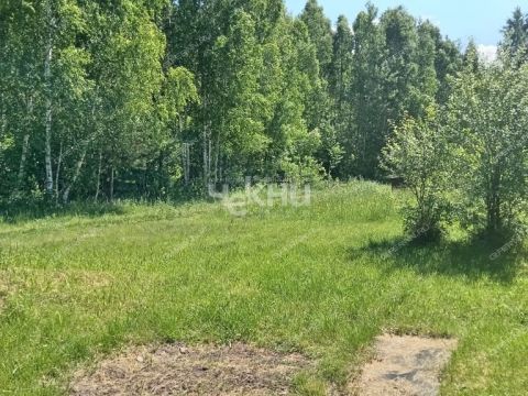 dacha-rabochiy-poselok-pervomayskiy-gorodeckiy-rayon фото