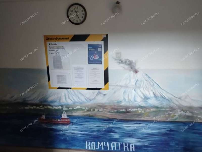 однокомнатная квартира на улице 40 лет Победы дом 5