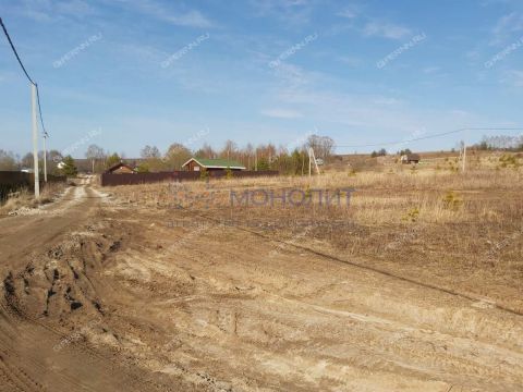 derevnya-nepecino-bogorodskiy-municipalnyy-okrug фото