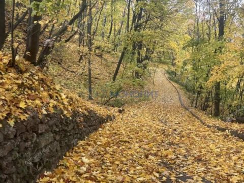 2-komnatnaya-ul-rodionova-d-180 фото