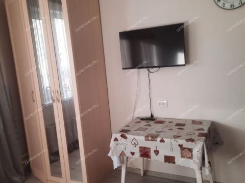 kvartira-studiya-ul-borisa-vidyaeva-d-23 фото