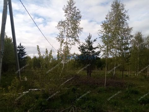 derevnya-churkino-zinyakovskiy-selsovet-gorodeckiy-rayon фото