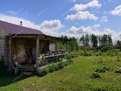 derevnya-shumilovo-bogorodskiy-municipalnyy-okrug фото