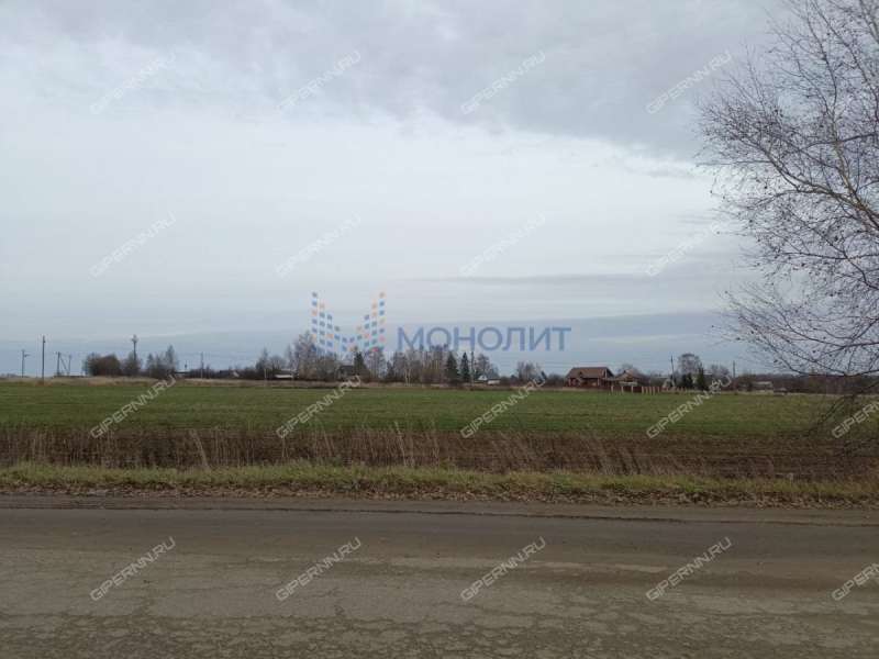 земельный участок 12 соток Полевая улица деревня Поляны