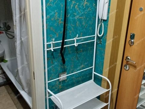 1-komnatnaya-ul-sputnika-d-34 фото