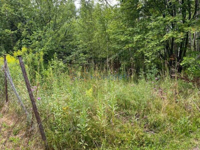 земельный участок под сельхоз назначение в Богородском районе Нижегородской области