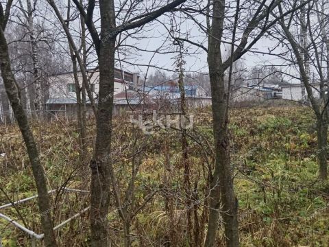 dacha-gorod-gorodec-gorodeckiy-rayon фото