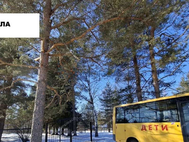 дом на Школьной улице деревня Полом